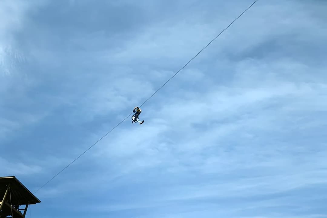 Zip-Line & Catapult