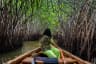 Madu River mangrove