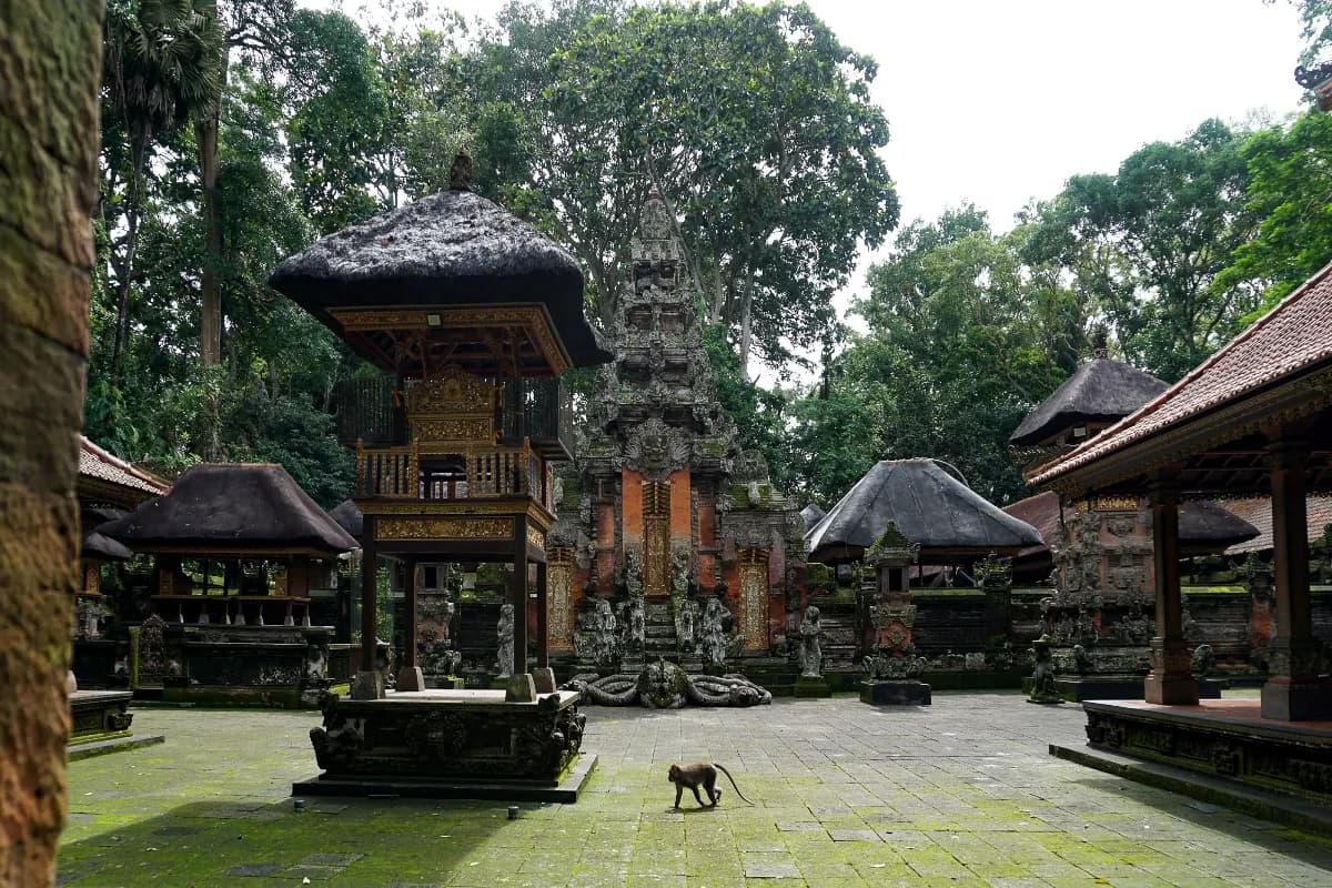 Sacred Monkey Forest Sanctuary