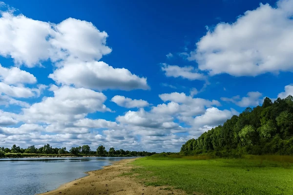 Pripyatsky National Park