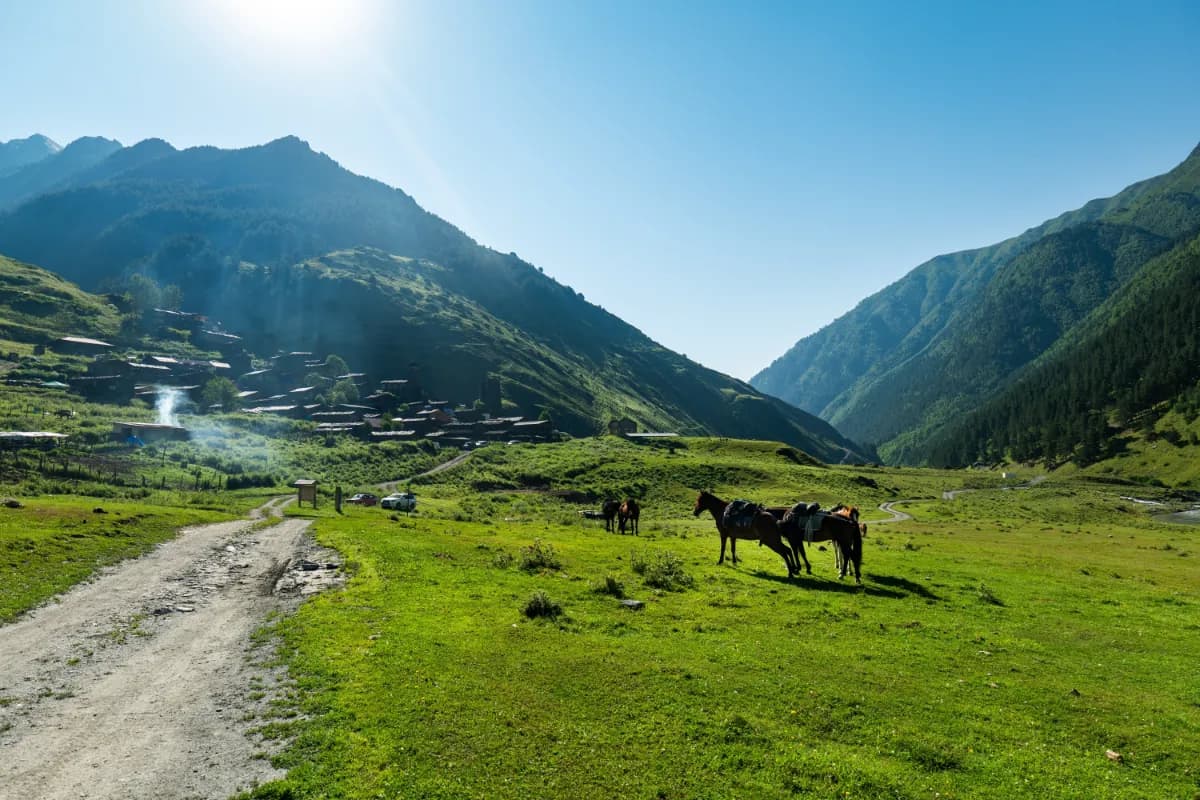 Tusheti