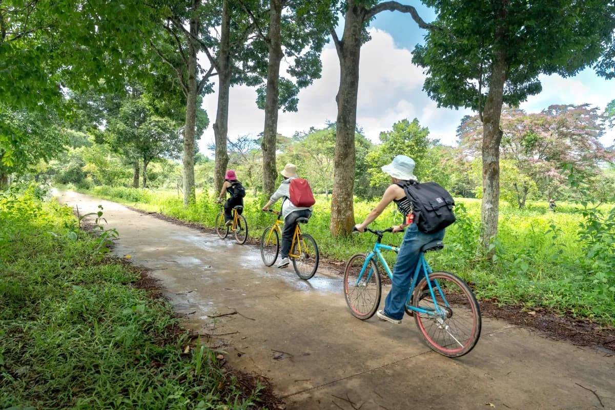 Spot Wildlife at Cat Tien National Park
