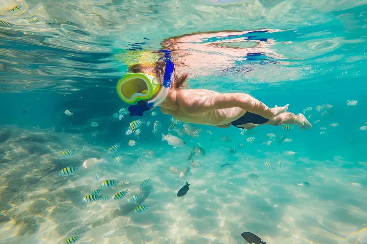 Snorkelling Adventure at Anse Major
