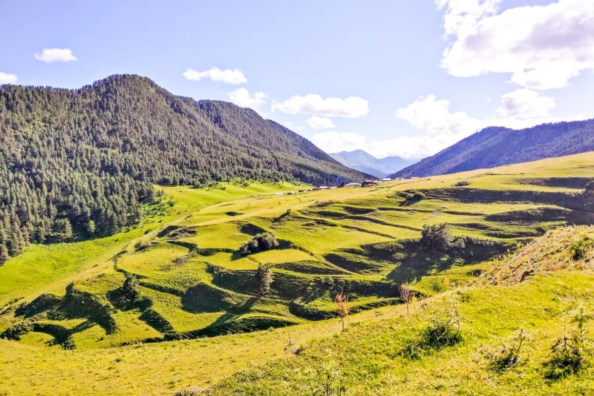 Tusheti