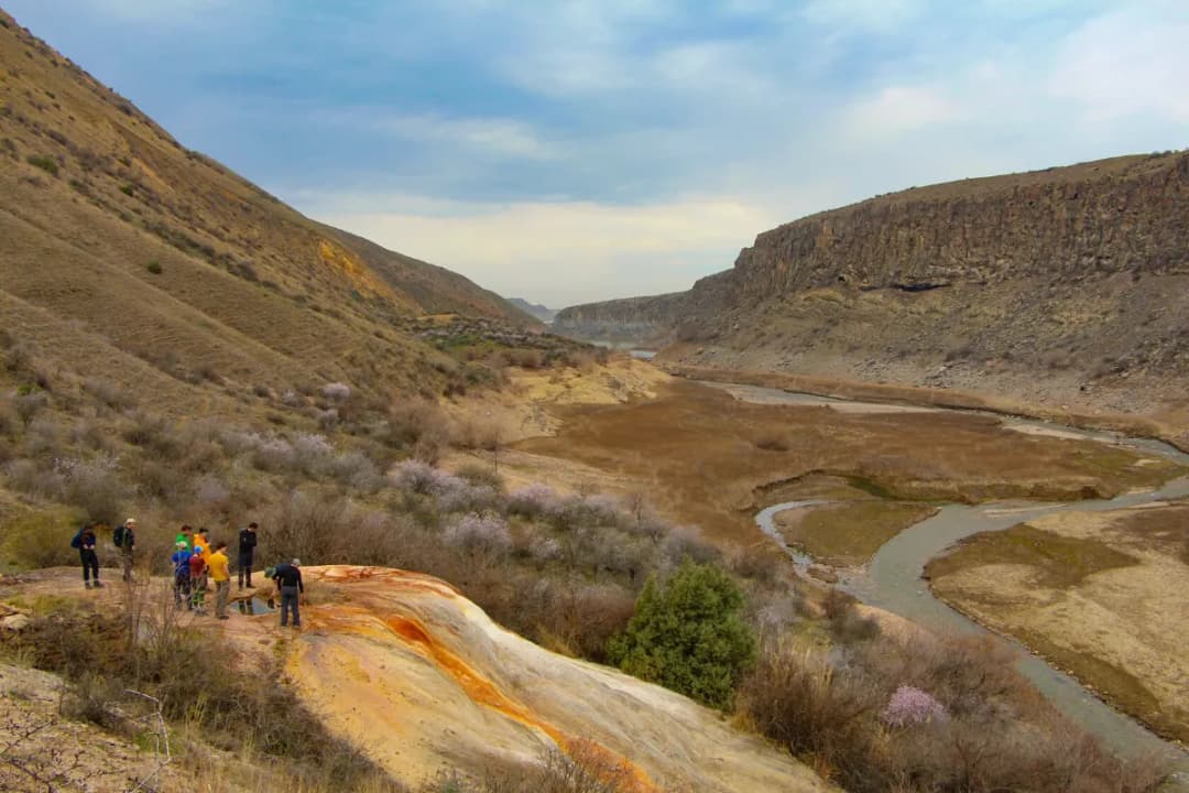 Local Viewpoint Platforms
