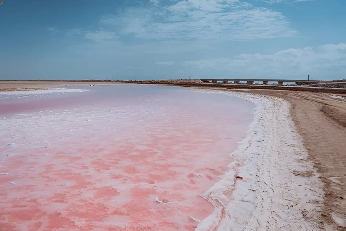 Pink Lake