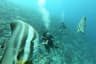 Scuba Diving at Maldives