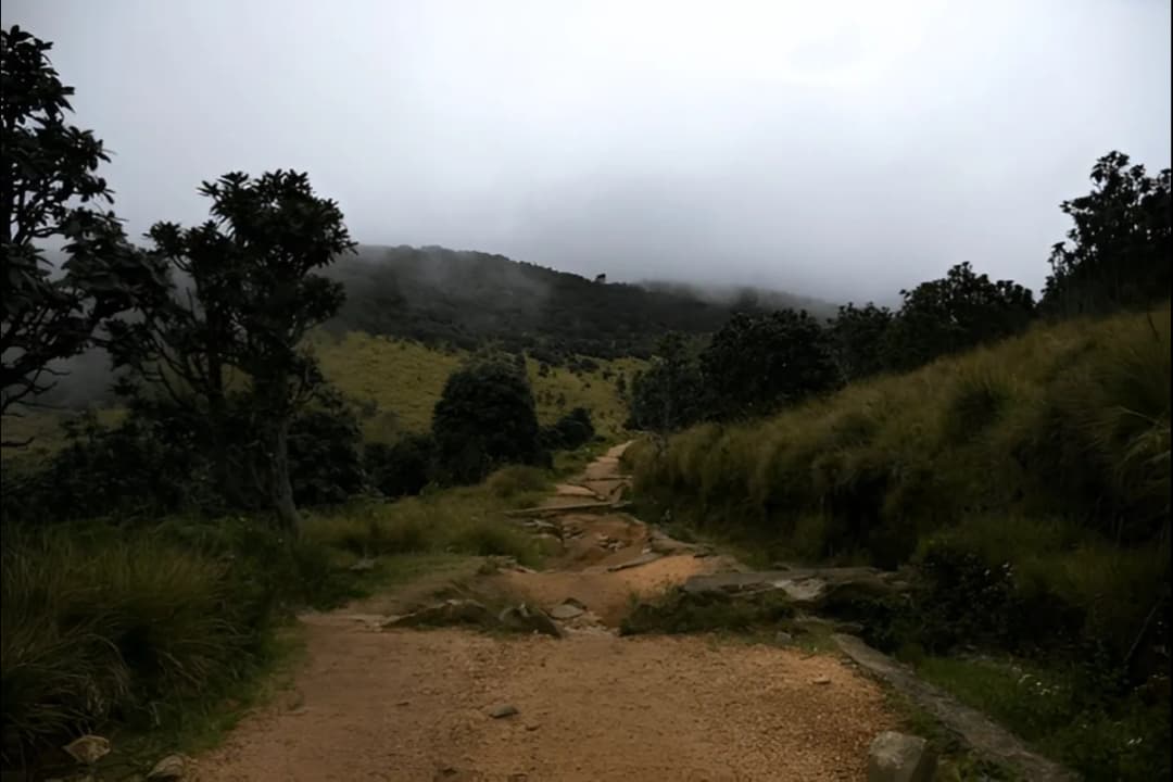 Horton Plains Walking Trail