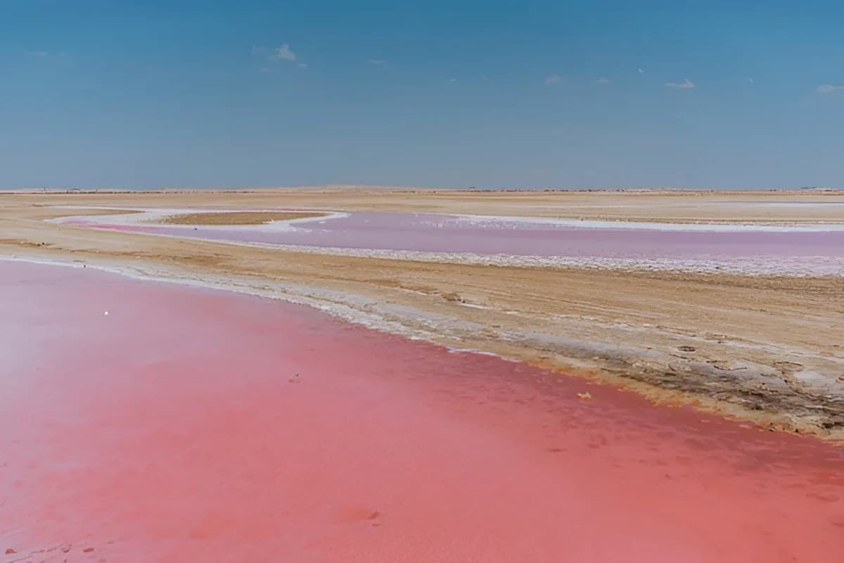 Pink Lake
