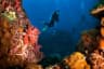 Scuba Diving in Thailand
