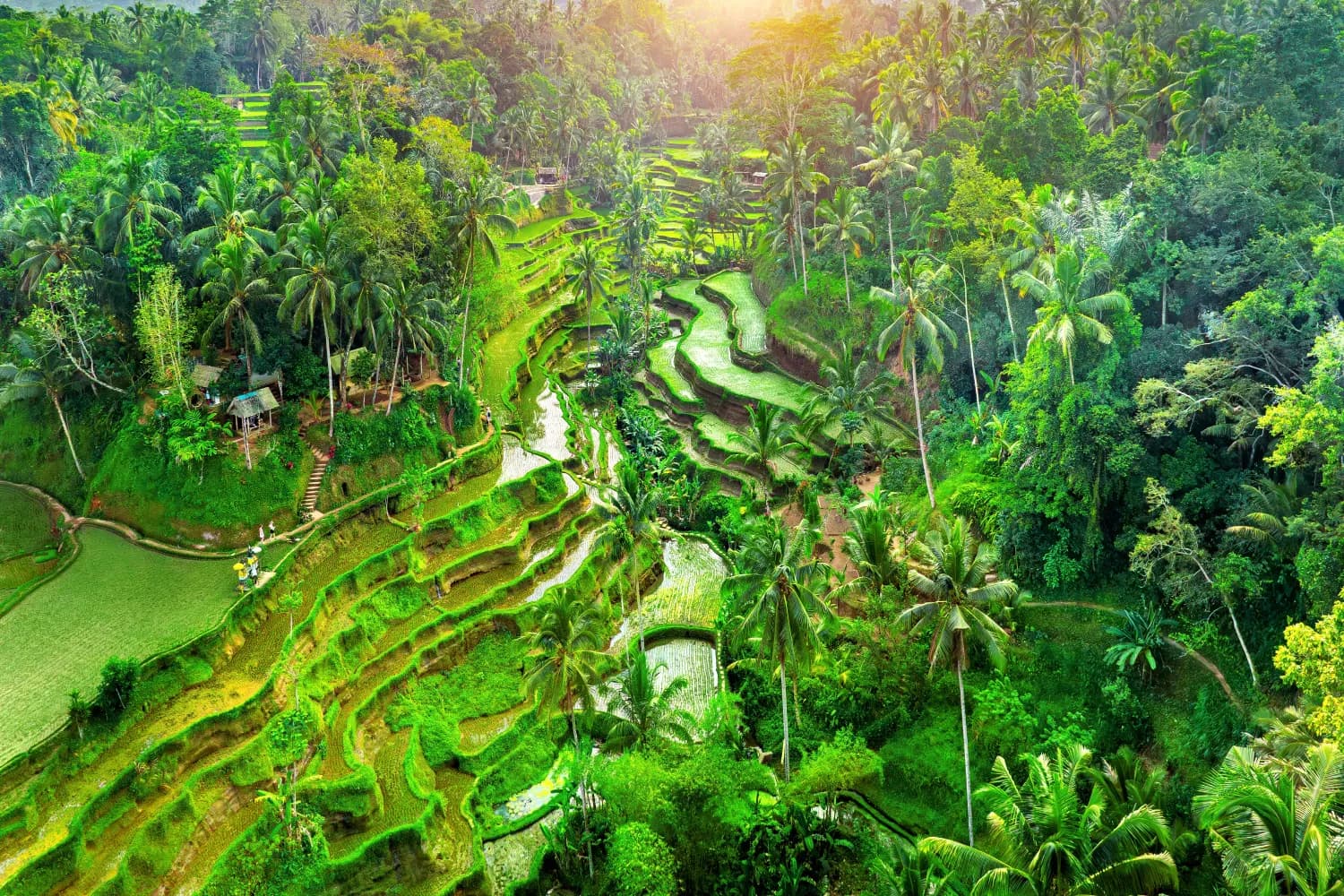 Jatiluwih terraces