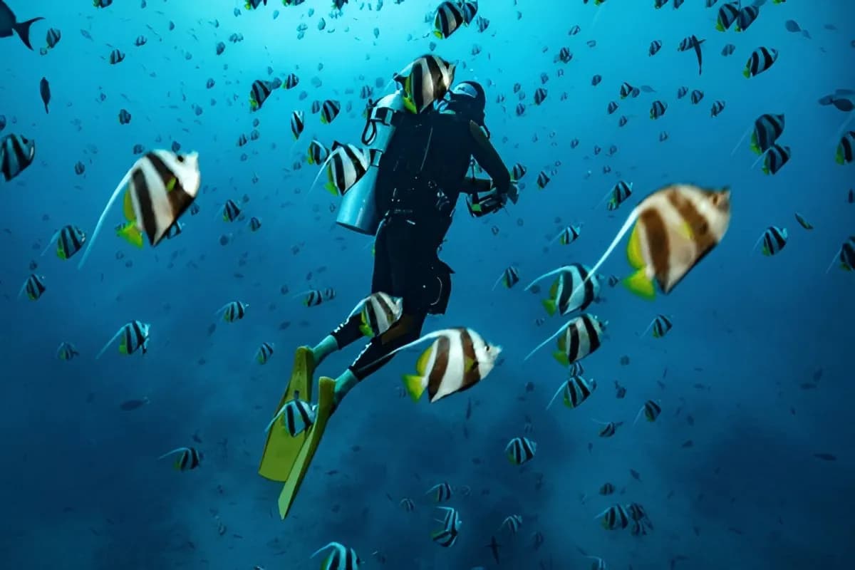  Snorkelling at Maldives