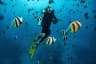 Snorkelling at Maldives