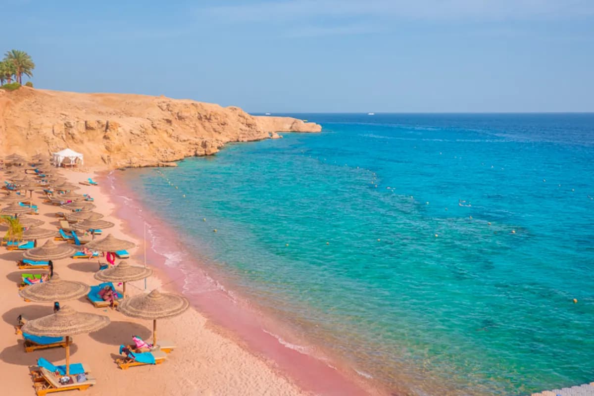 Dive into the Red Sea