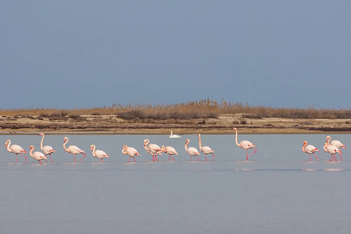 Absheron National Park