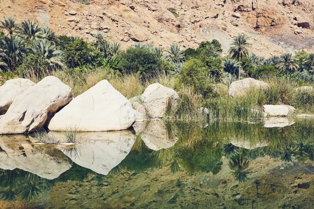 Wadi Tiwi