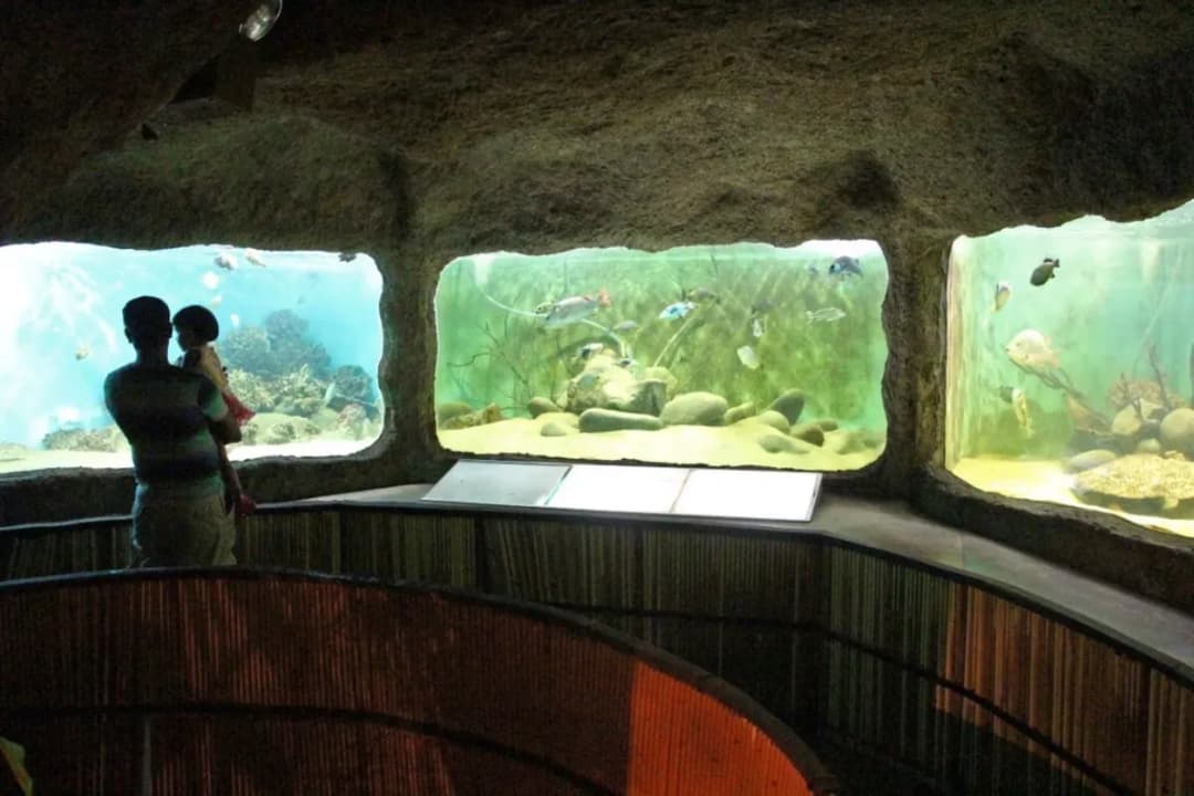 Aquarium Section