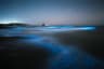 glowing beach