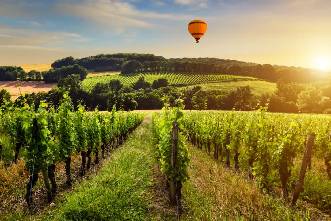 Habarana Village Region