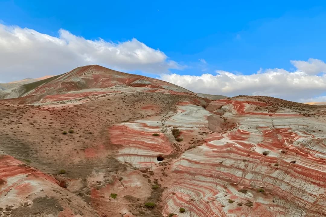 Fossil Discovery Areas