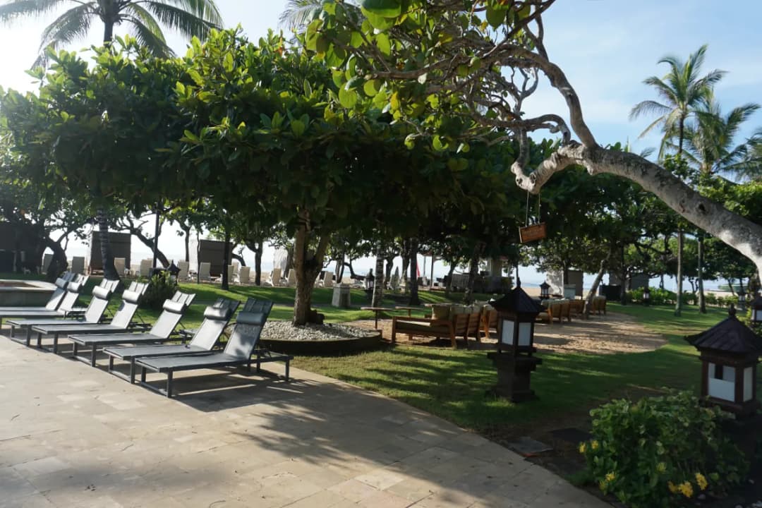 Beach Garden Area