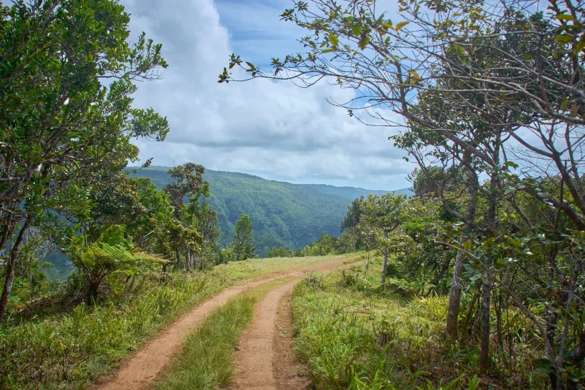 Black River Gorges National Park