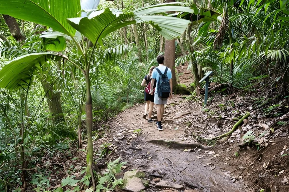 Copolia Trail