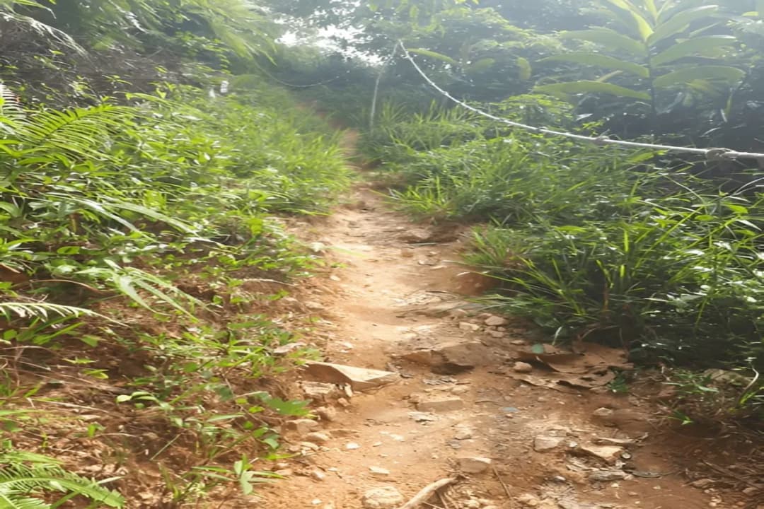 Hiking Trails Network