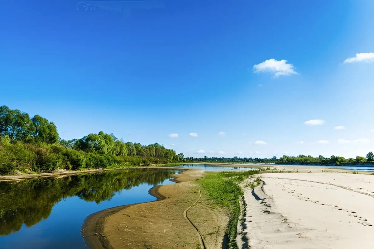 Pripyatsky National Park