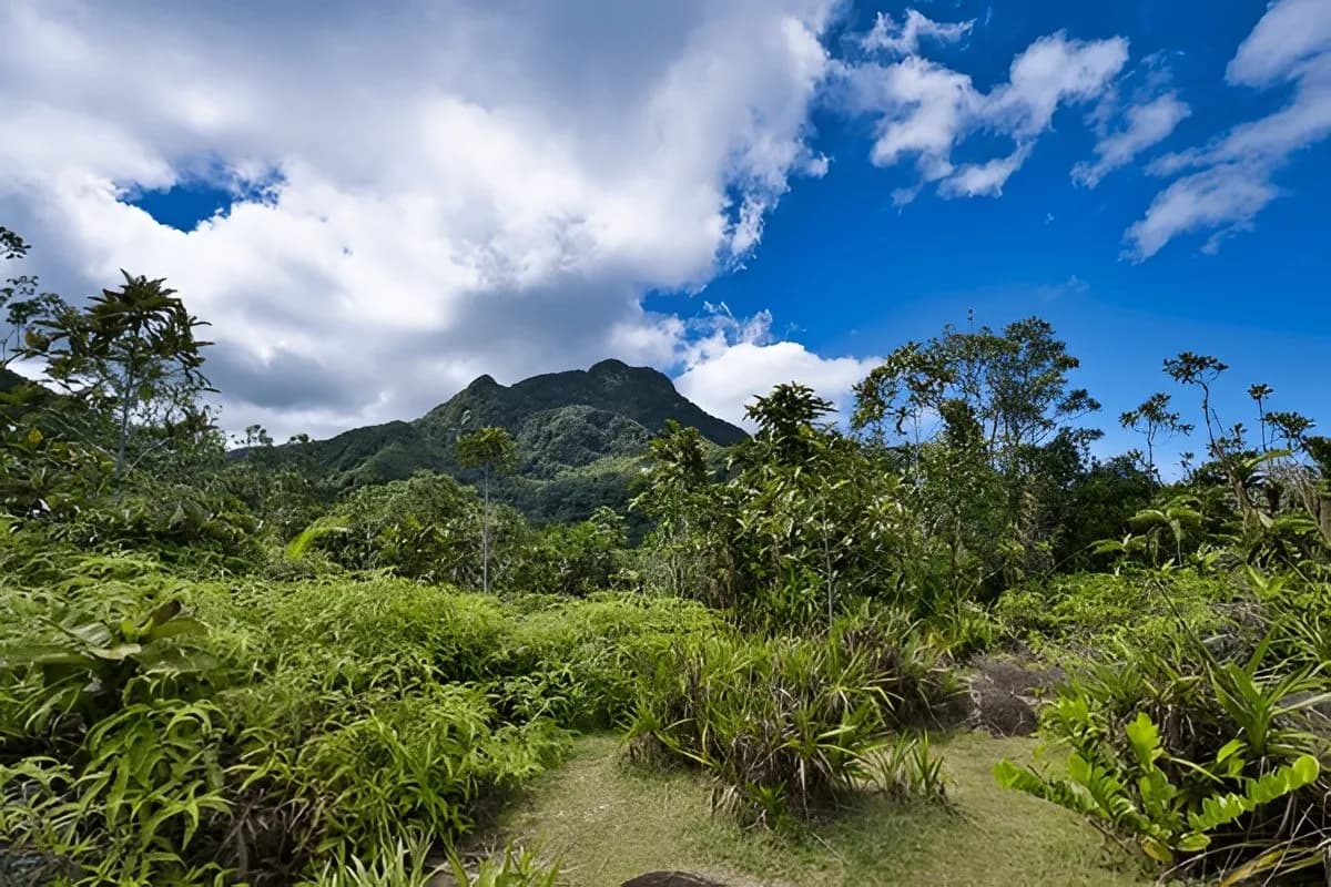 Morne Seychelles National Park