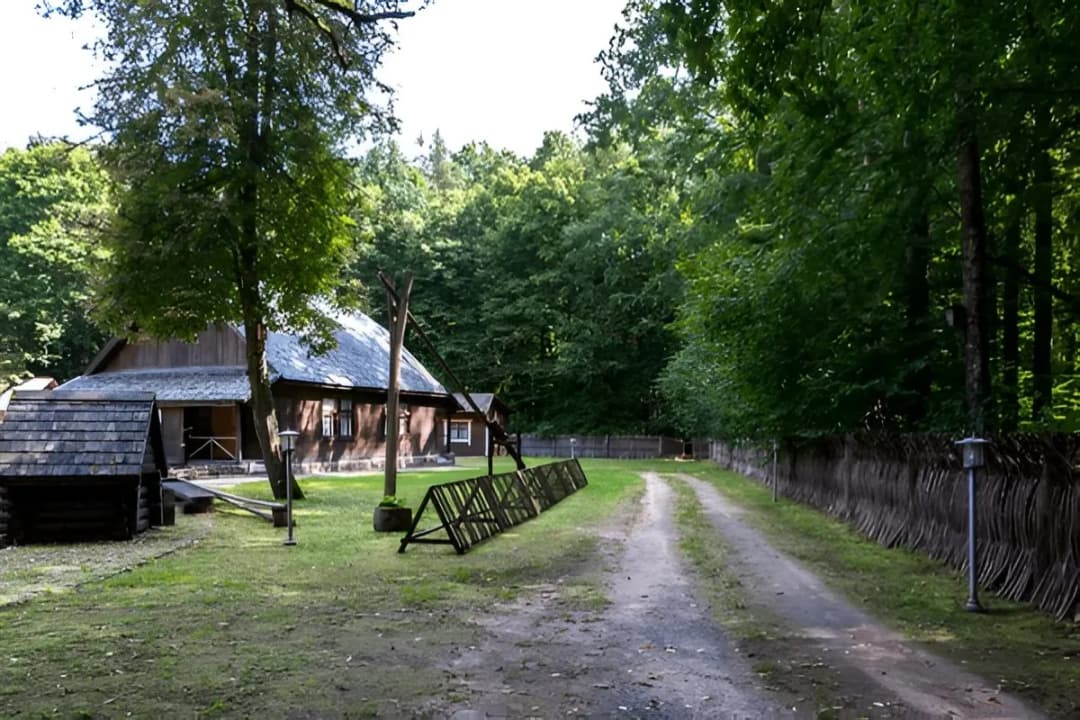 Primeval Forest Trails