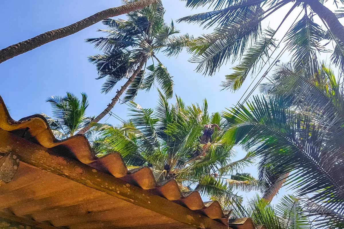 Bentota Beach Galle