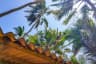 Bentota Beach Galle