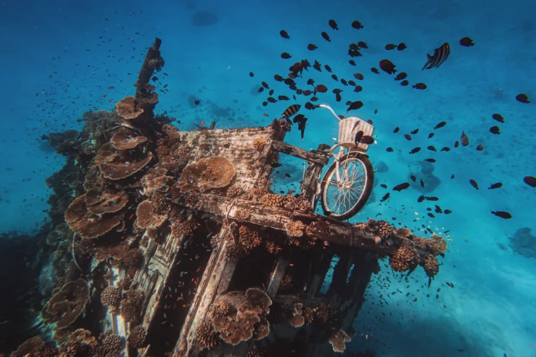 Maldive Victory
