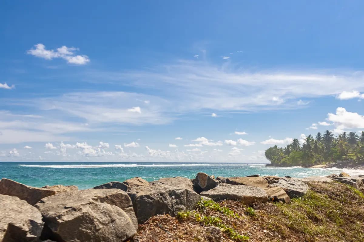 Scuba Diving in Sri Lanka