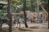  Wildlife encounters at Safari World 