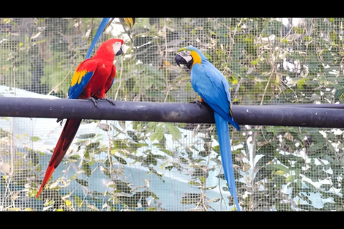Dehiwala Zoological Gardens
