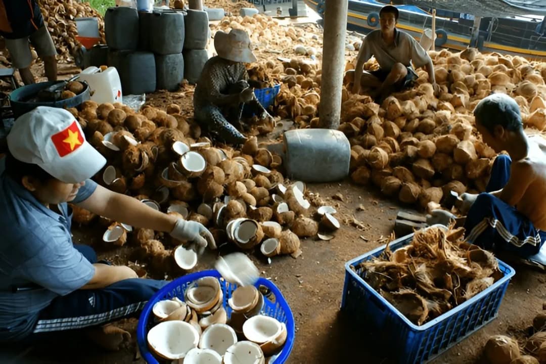 Coconut Candy Workshops