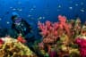 Scuba Diving in Thailand