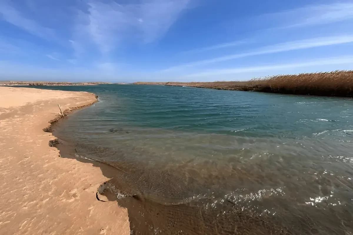 Aydar Lake View