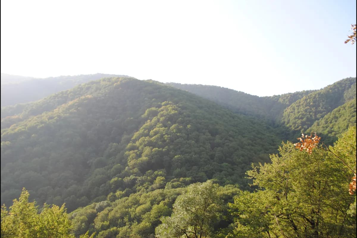 Shikahogh State Reserve