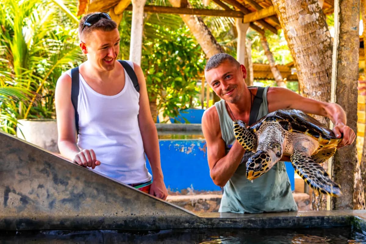 Kosgoda Sea Turtle Conservation Project