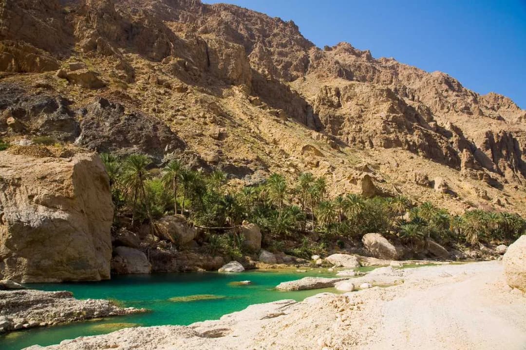 Wadi Suneik