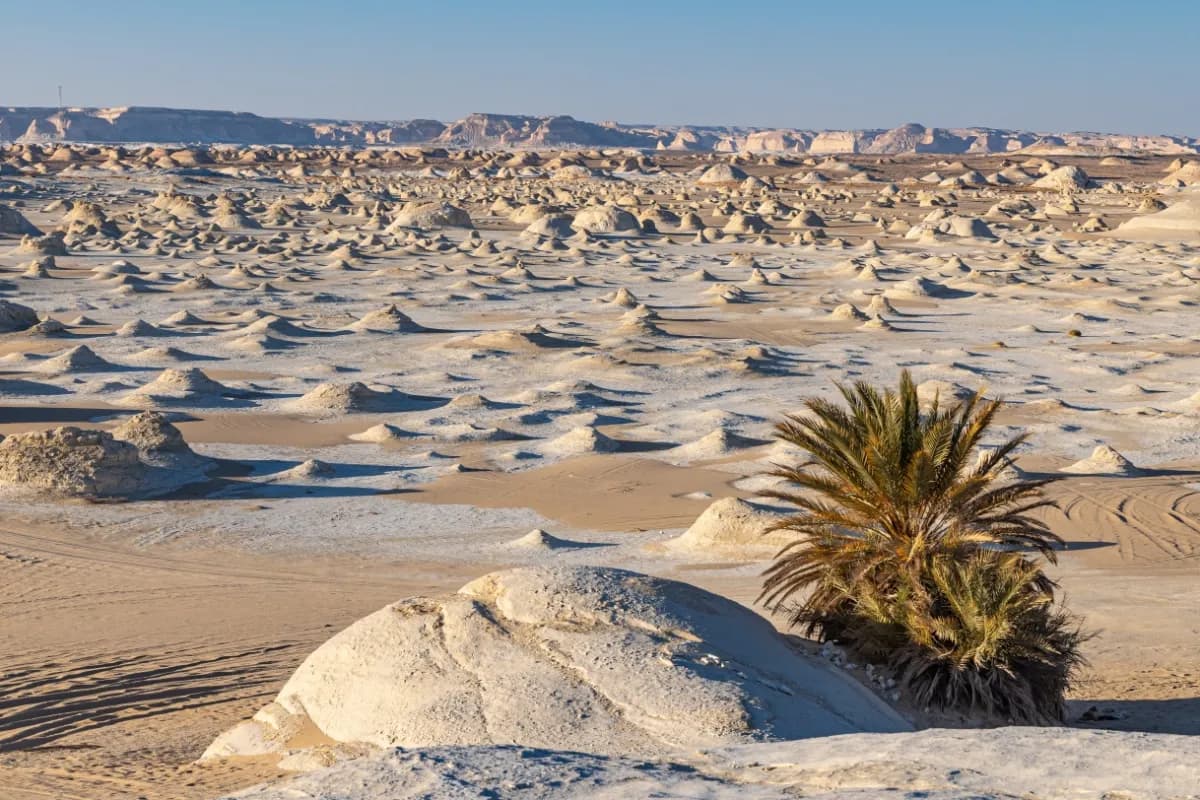 White Desert National Park