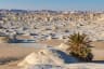 White Desert National Park