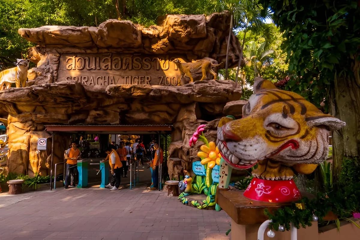 Tiger Topia Sriracha Zoo