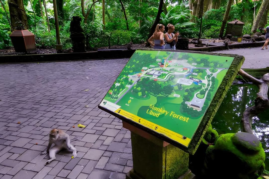 Conservation and Learning Zones