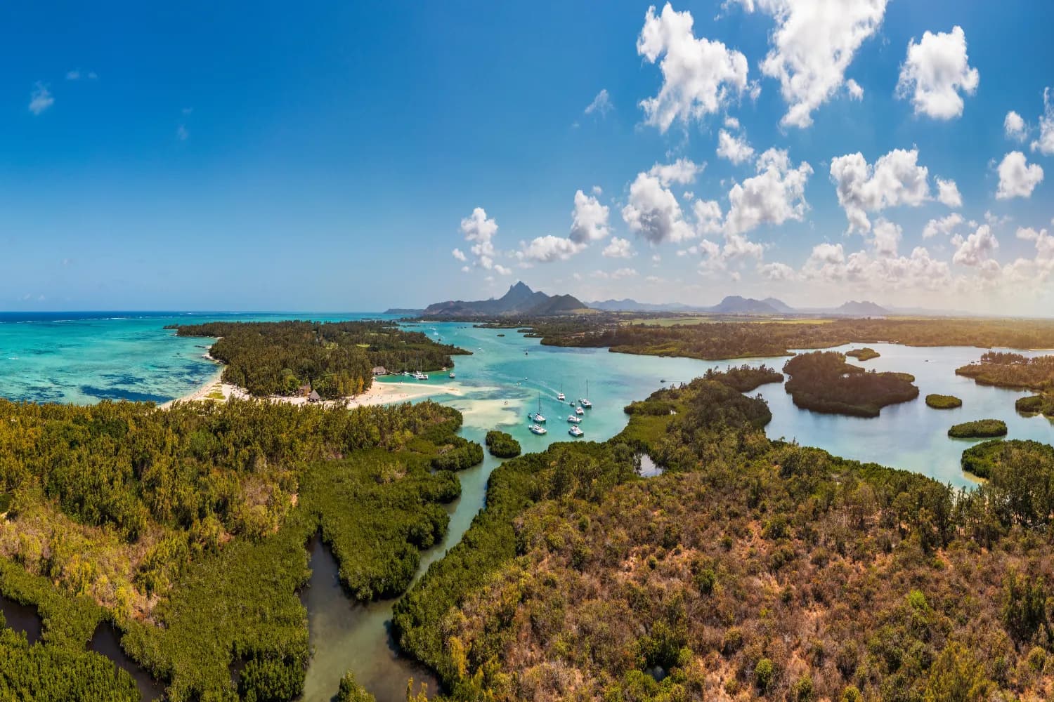 Ile Aux Cerfs excursion