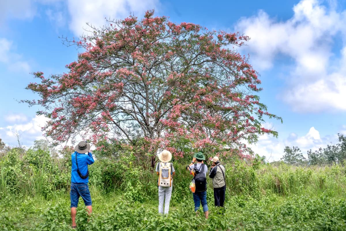 Cat Tien national park