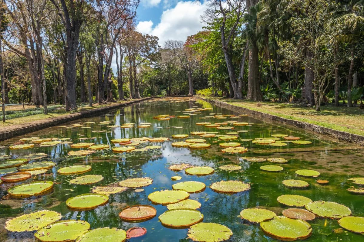 Sir Seewoosagur Ramgoolam Botanical Garden